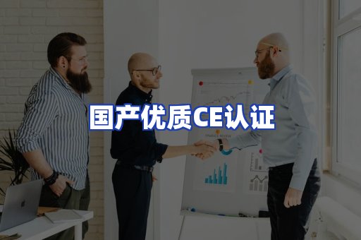 国产优质CE认证